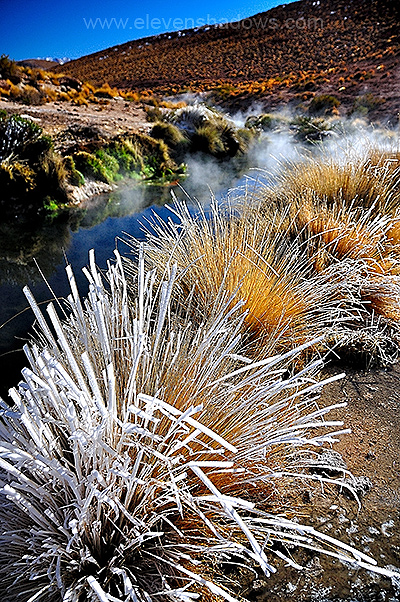 El Tatio - frozen grass