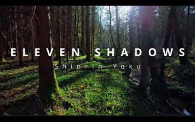 Eleven Shadows – Shinrin-Yoku (immersive ambient chill music exploration)