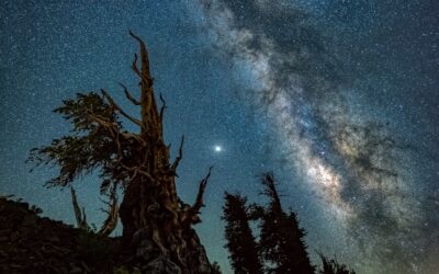 How to find the Milky Way