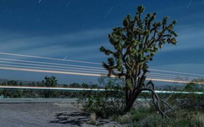 How to photograph a Joshua Tree and light streaks