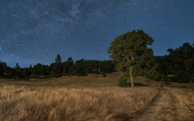 How does Aurora HDR do with a starry night sky?