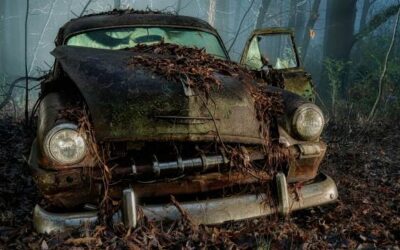 Secrets of a forested car graveyard unveiled by night photographers