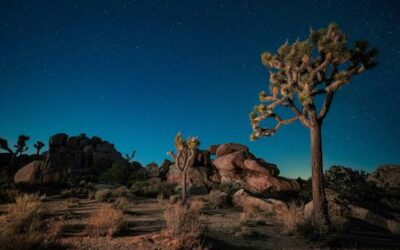 Joshua Tree, Borrego Springs night photography workshop under the stars