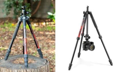 Manfrotto Element MII Red: Your versatile travel photography BFF?