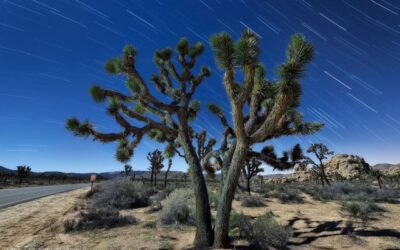 When do you do light painting during “stacked” star trails?