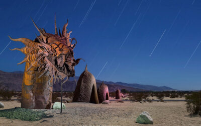 5 Steps to Photograph a Giant Desert Dragon at Night