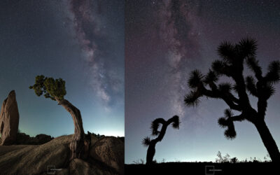 Pentax Star AF Autofocus: Yes, It’s That Good