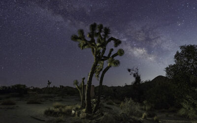 The One Accessory You Didn’t Know You Needed for Night Photography