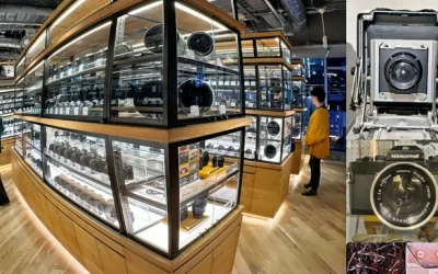 Why Physical Media Is Making a Comeback Among Younger Generations