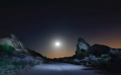 Feeling Stuck? Here’s How to Jumpstart Your Creativity in Photography